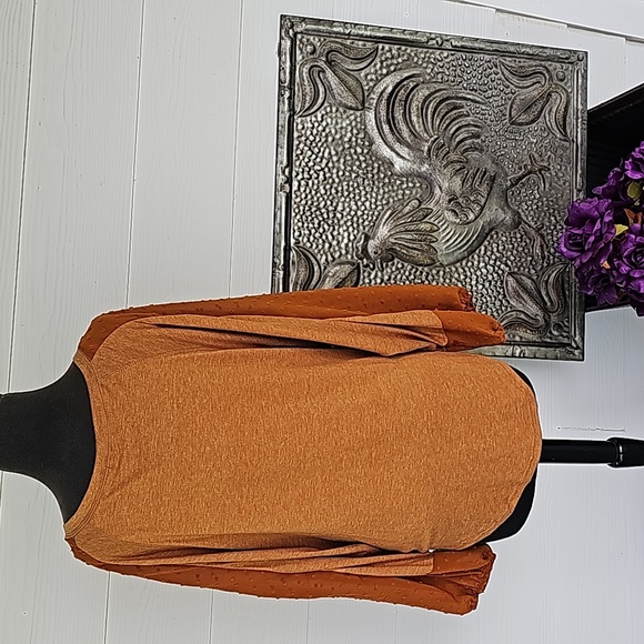 Beyove Top - Picture 5 of 13